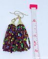 Multicolor Tassel Earrings