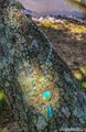 Opalescent Bezel, Calcedony, and Agate Pendant Necklace