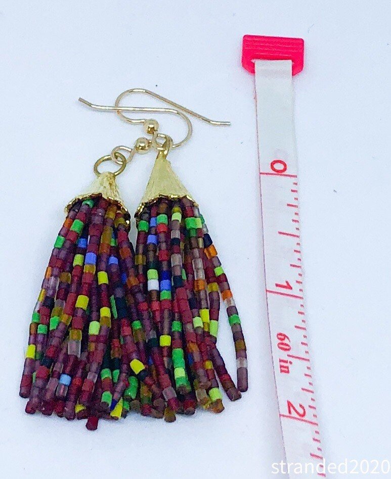 Multicolor Tassel Earrings