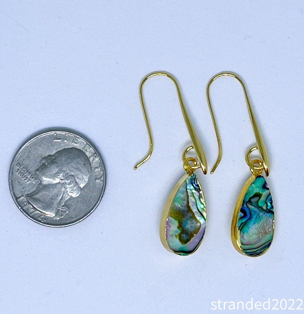 Elongated Abalone Drop Earrings